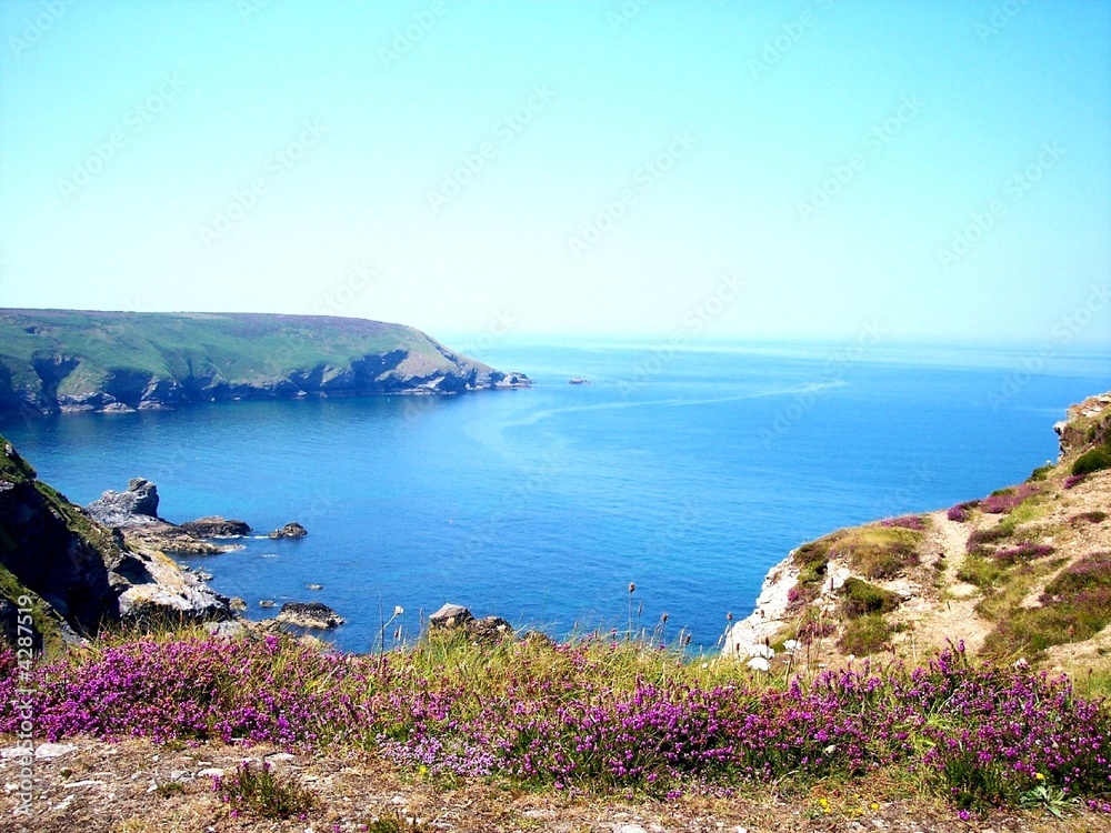 hells mouth - with purple heather in flower