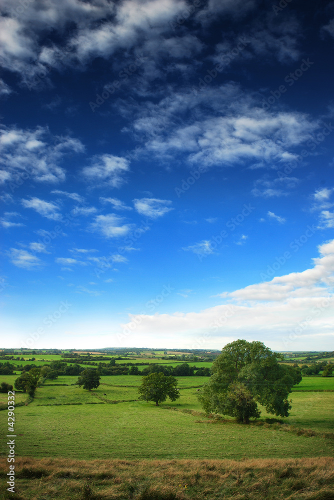 Rural Landscape Rural Landscape