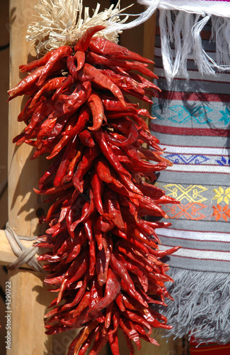 Chili peppers, New Mexico, USA