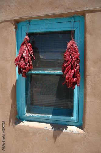 Chili peppers, New Mexico, USA