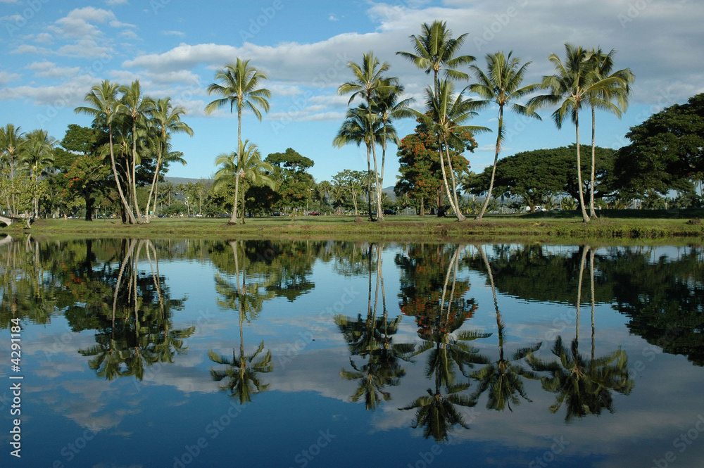 Wailoa Pond, Hilo, Hawaii USA