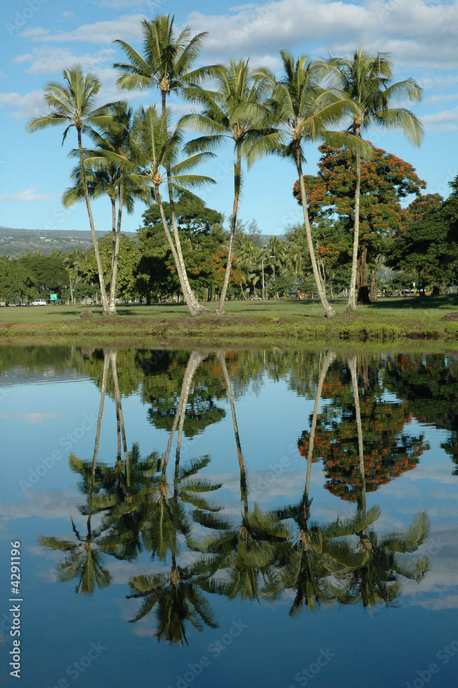 Wailoa Pond, Hilo, Hawaii USA