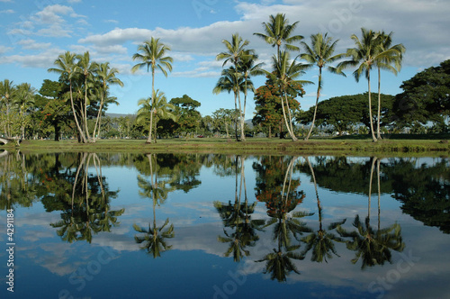 Wailoa Pond, Hilo, Hawaii USA © John Penisten