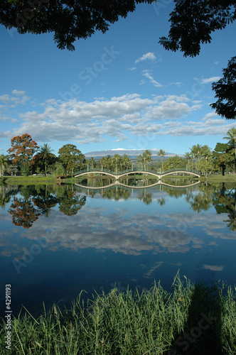 Wailoa Pond, Hilo, Hawaii USA
