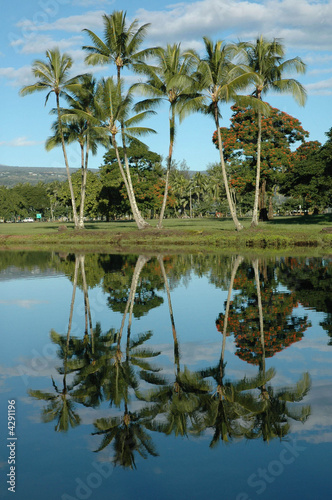 Wailoa Pond, Hilo, Hawaii USA