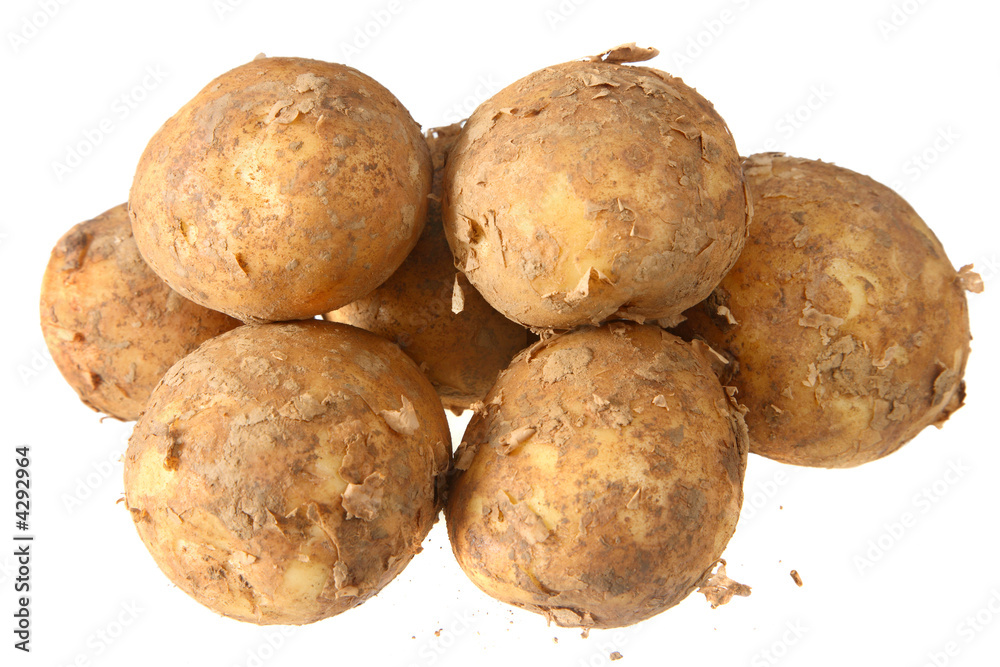 New potatoes covered in soil, isolated on a white background. New potatoes covered in soil, isolated on a white background.