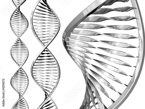 dna adn strands