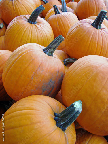 Basket of Pumpkins
