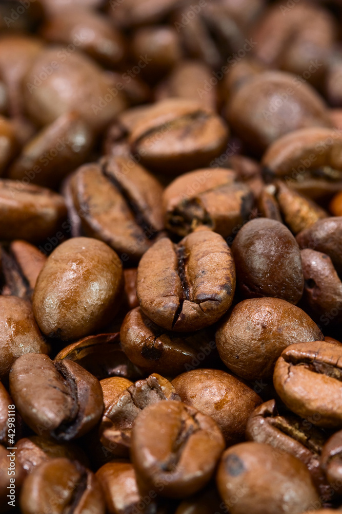 Fototapeta premium Coffee beans close up