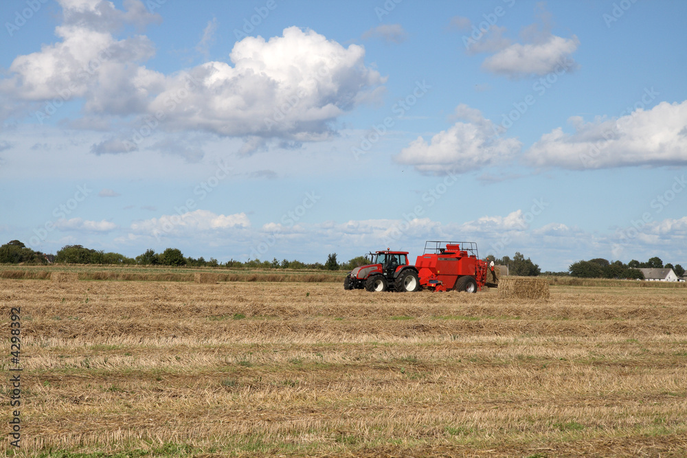 Obraz premium Harvest 4