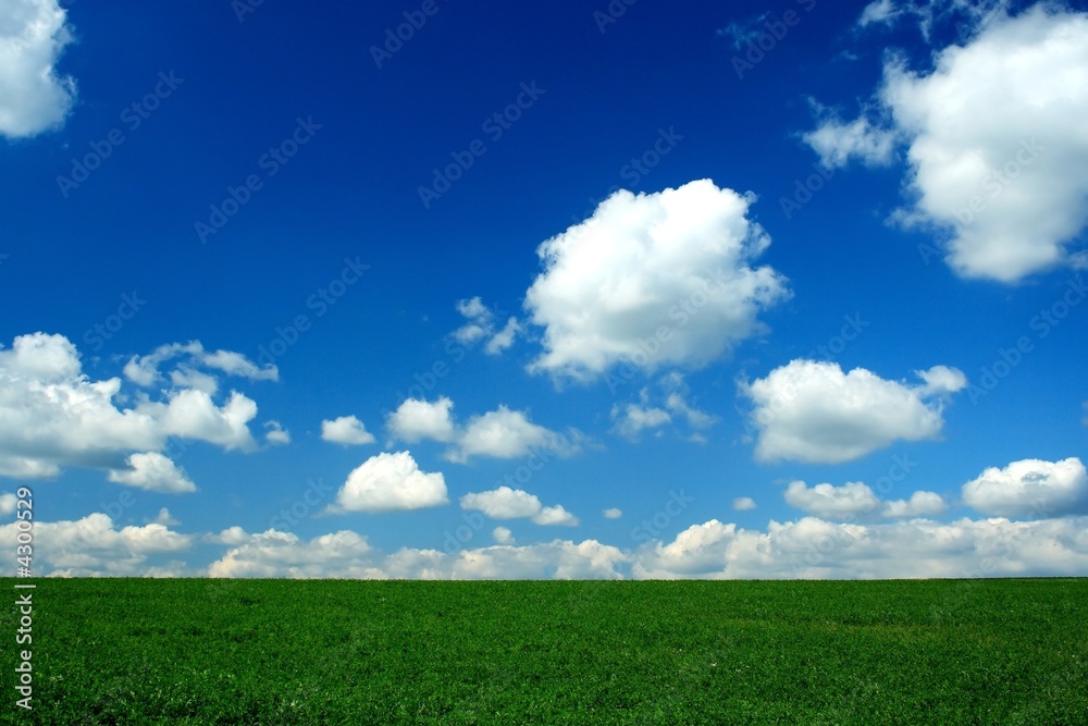 horizon , green field, blue sky and white clouds
