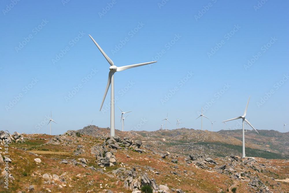 wind power generators farm against blue sky
