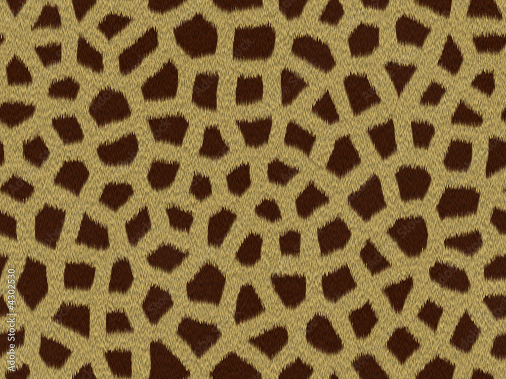 Textura Fondo Animal Textura Fondo Animal