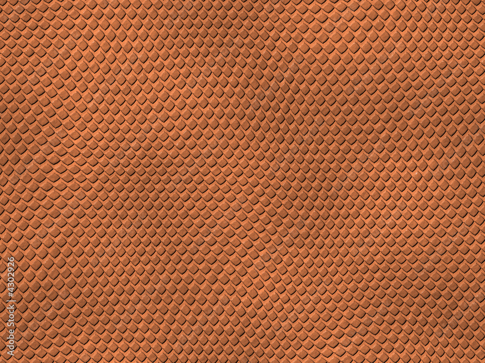 Textura Fondo Animal reptil Textura Fondo Animal reptil