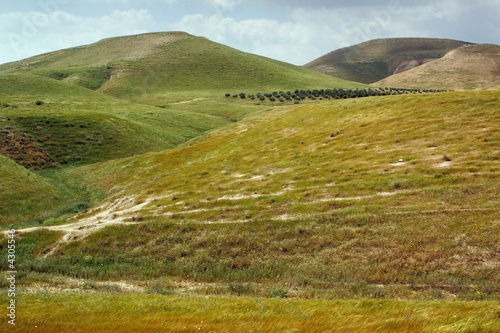 Jordanian valley ,31