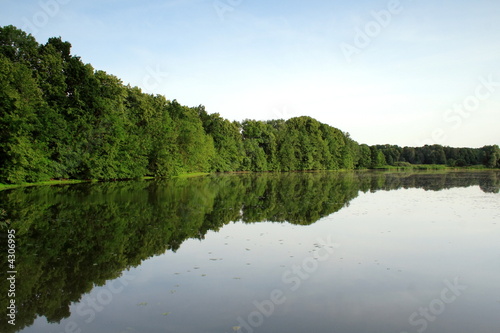 pond mirror