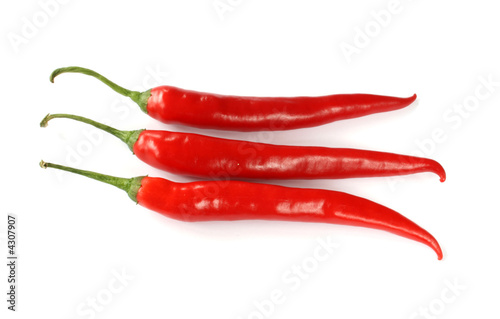  chilli pepper