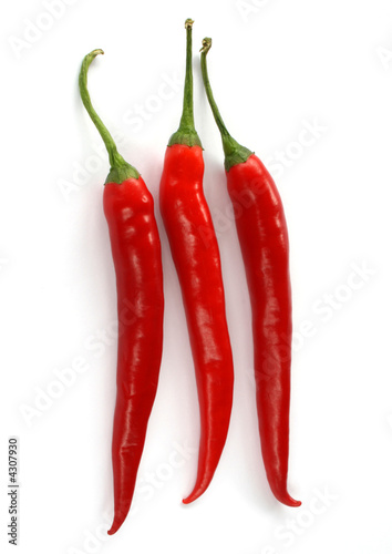 chilli