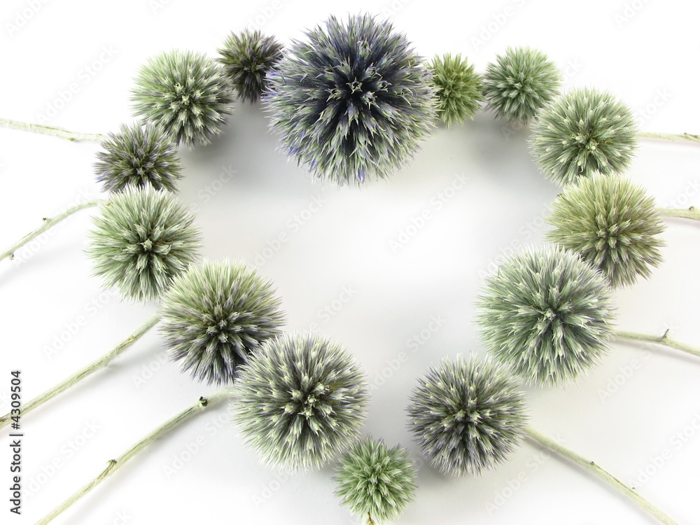 Obraz premium heart from blue flowers