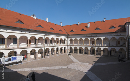 Castle  - Niepolomice - Poland  photo