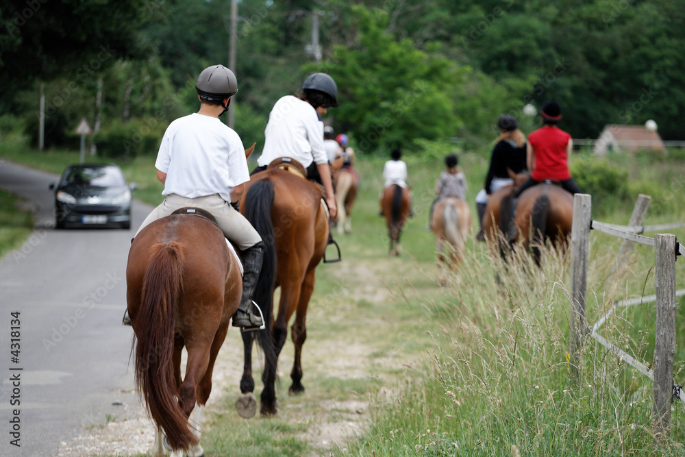 Promenade chevaux Promenade chevaux