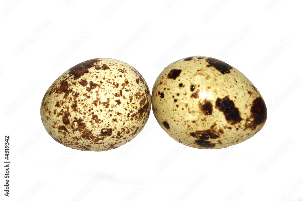 two quail eggs two quail eggs