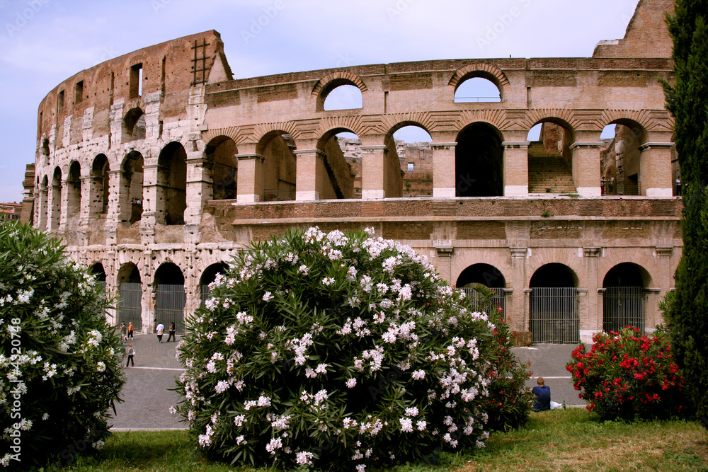 Obraz premium Colosseum and flowers