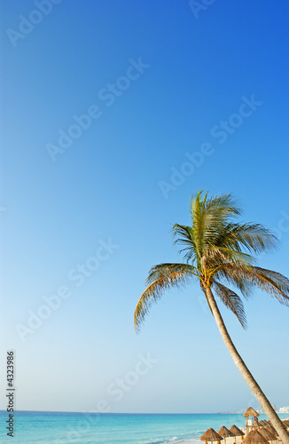 the beach in the caribbean