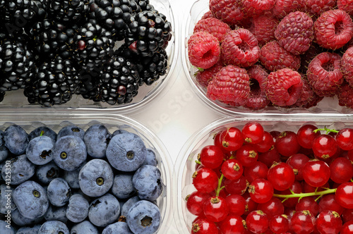 Wild berries