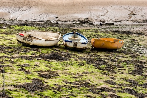 3 Boats stranded amongst the seaweed at low tide photo