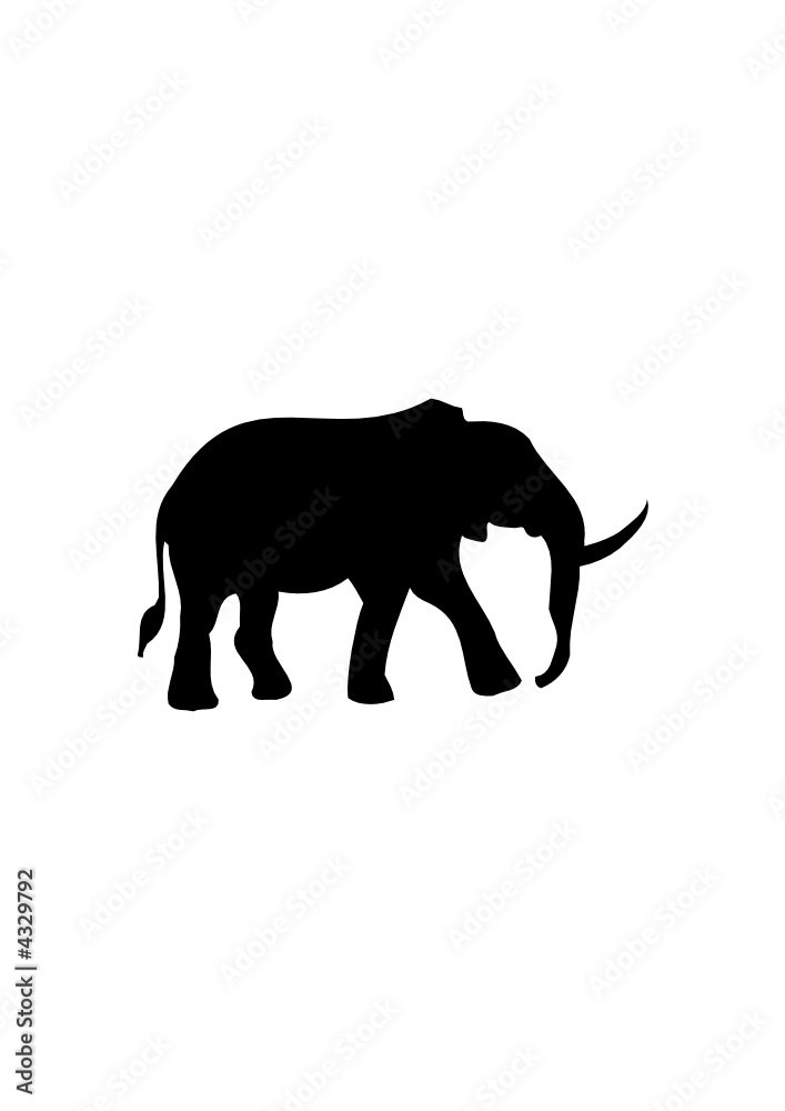 Elefant