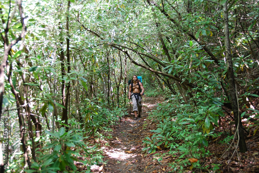 Hiking on the Appalachian Trail Hiking on the Appalachian Trail