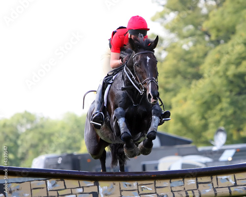 Jumping Fence