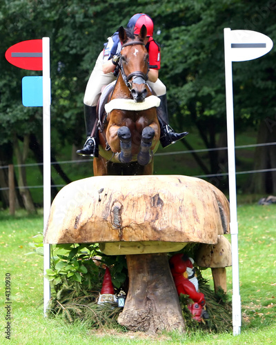 Jumping Mushroom Obstacle