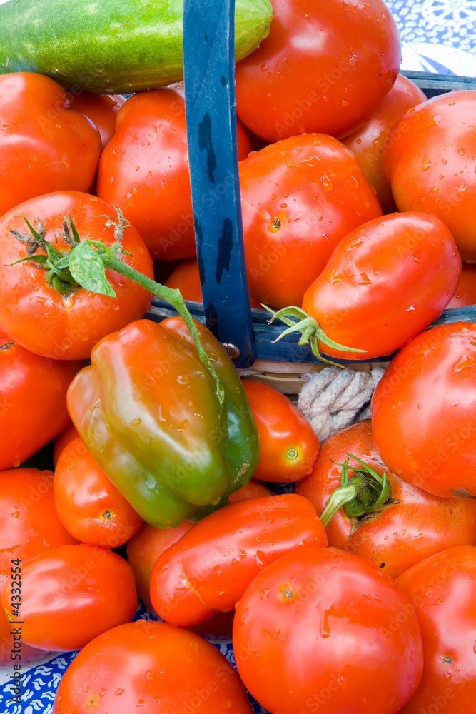 Garden Tomatoes and other Veggies Garden Tomatoes and other Veggies