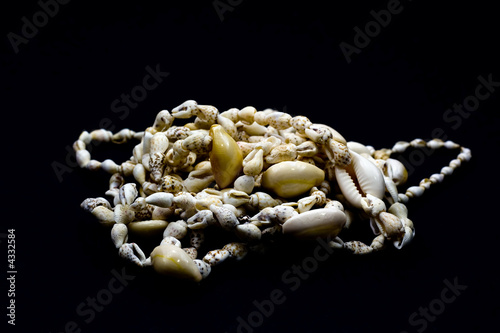  Sea-shells 