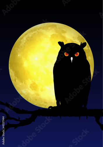 Hibou inquiétant