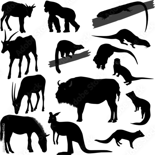 Some vector silhouettes of different animals