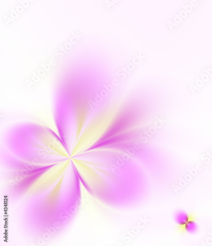 Wonderful flower