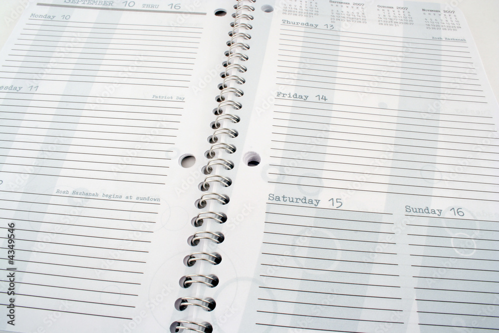 Obraz premium Dayplanner