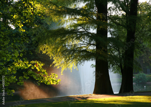 Sunset in the park