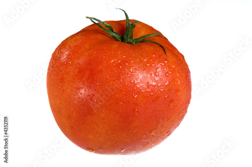 Quadro su tela tomato vegetable in water drops isolated on white