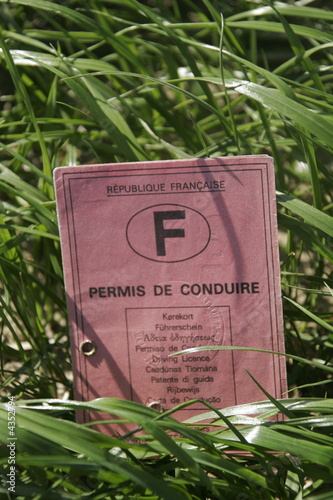 Permis de conduire