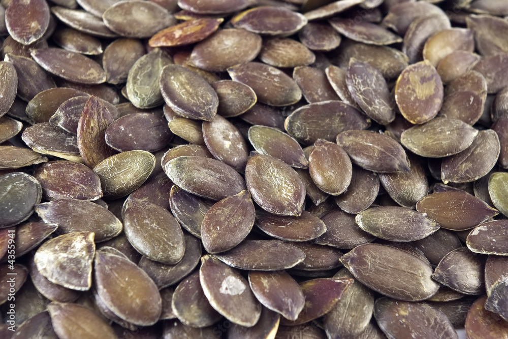 Styrian Pumpkin Seeds