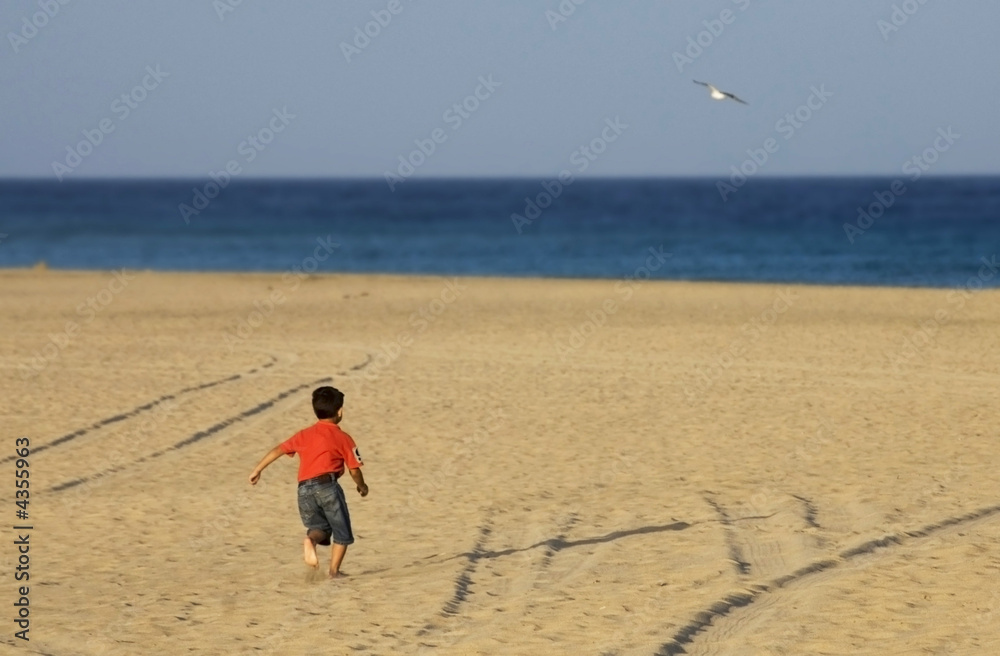 Obraz premium Camino a la orilla