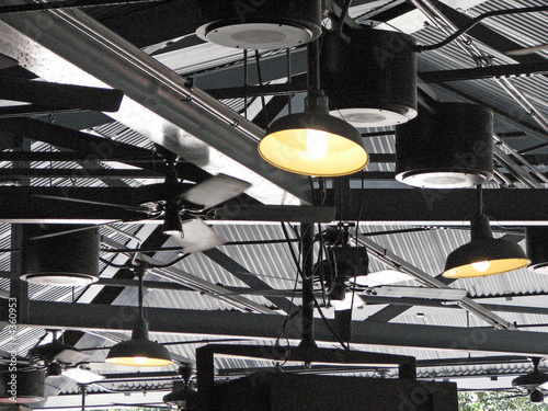 Lights and Fans