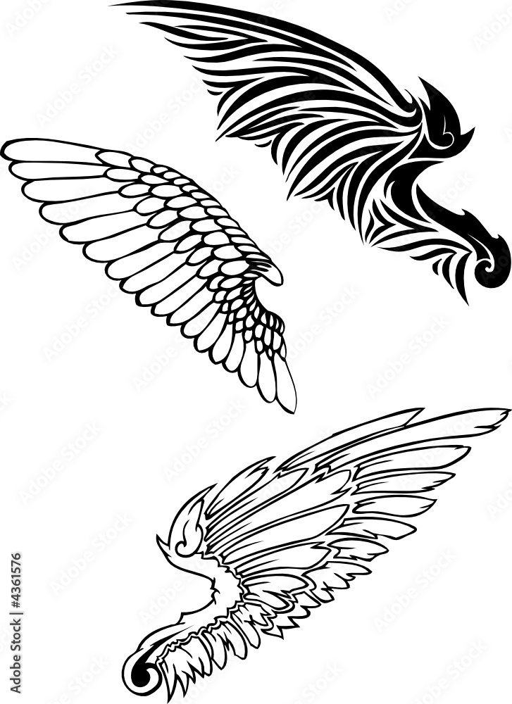 Obraz premium wings on white background