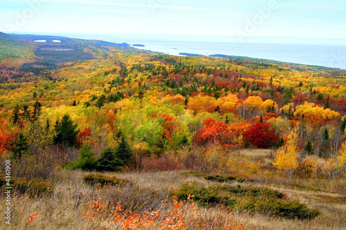 Autumn landscape