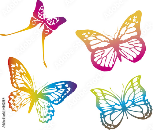 colorful butterflies