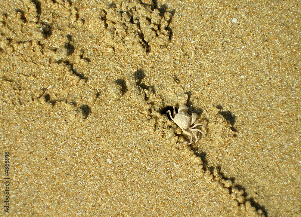 crab house crab house